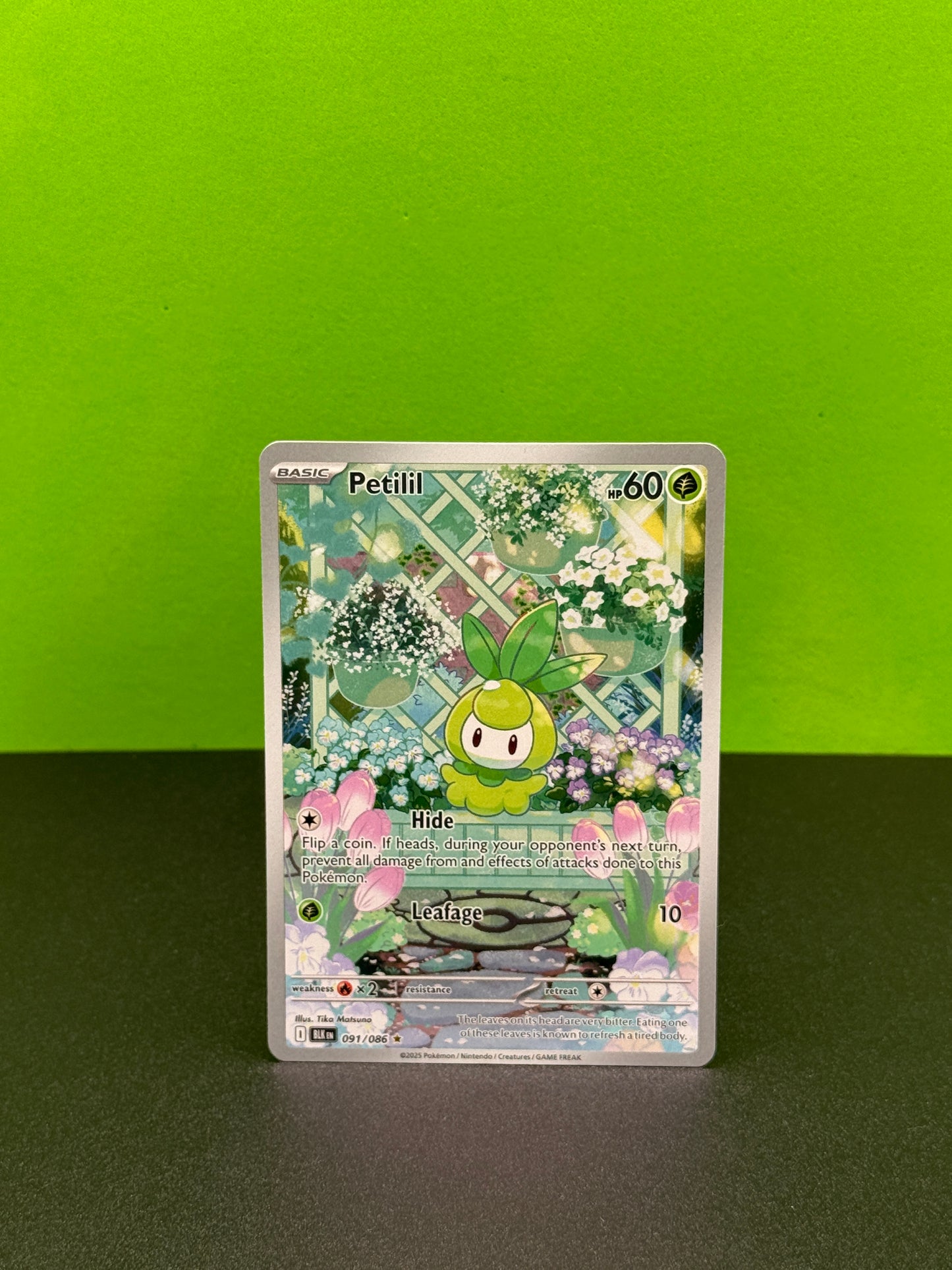 Pokémon TCG S&V Black Bolt: Petilil 091/086 (Illustration Rare)